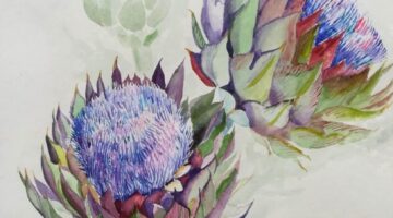 Fiori di Carciofo