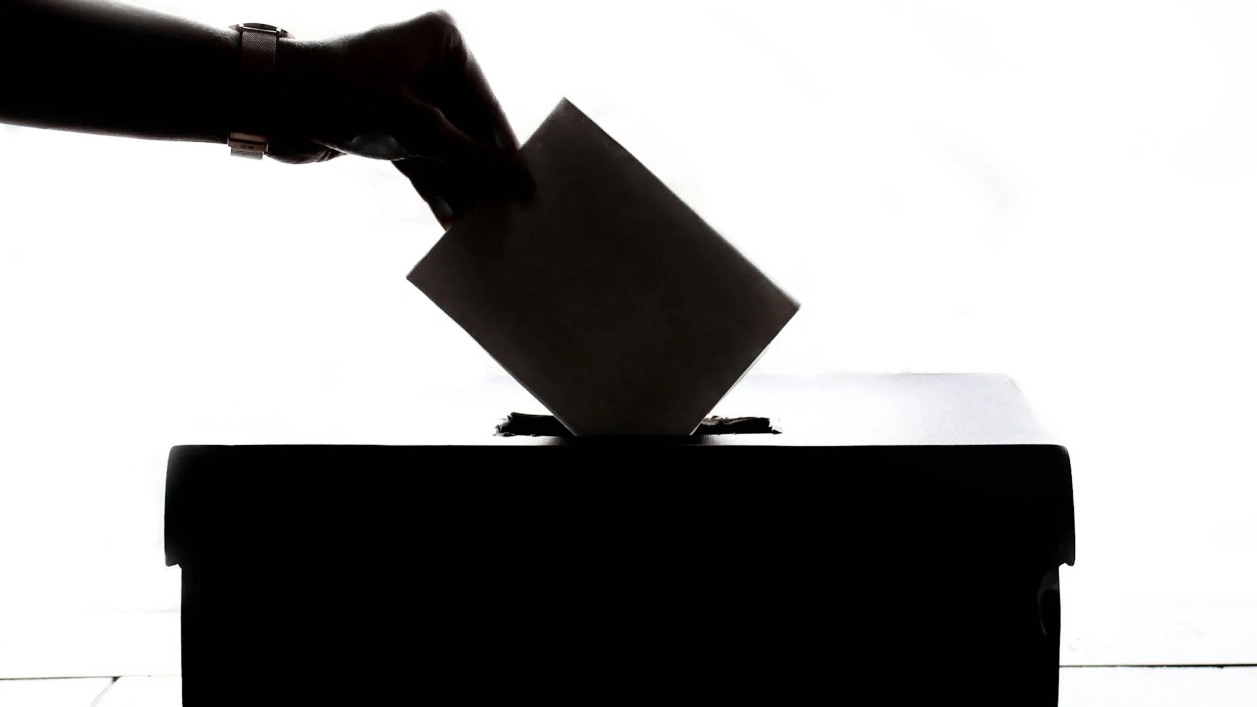 2025-05-02 - Elezioni 2025